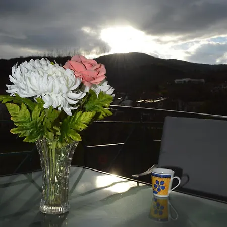 The Bliss Z1 * كاستوريا